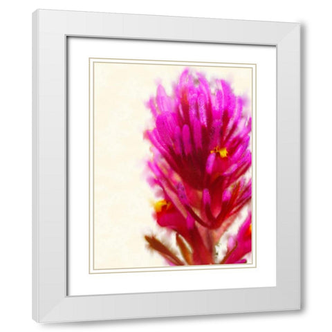 Owl Clover in Bloom 1 White Modern Wood Framed Art Print with Double Matting by Tenoever, William