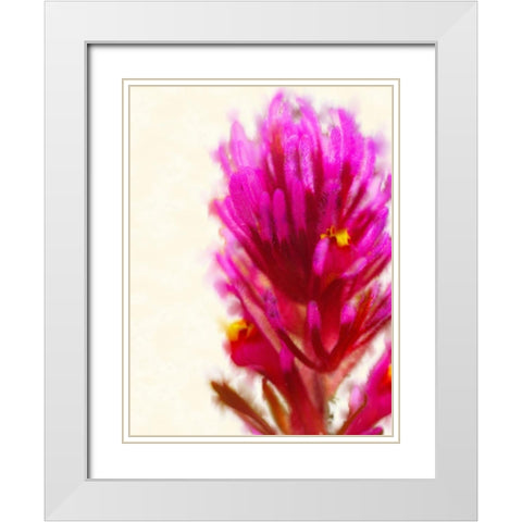 Owl Clover in Bloom 1 White Modern Wood Framed Art Print with Double Matting by Tenoever, William