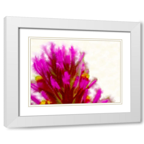 Owl Clover in Bloom 2 White Modern Wood Framed Art Print with Double Matting by Tenoever, William