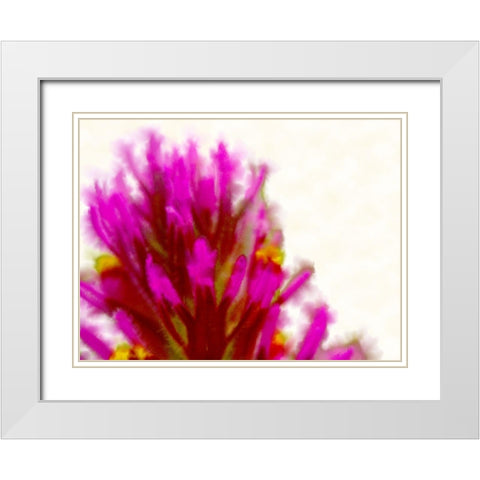 Owl Clover in Bloom 2 White Modern Wood Framed Art Print with Double Matting by Tenoever, William