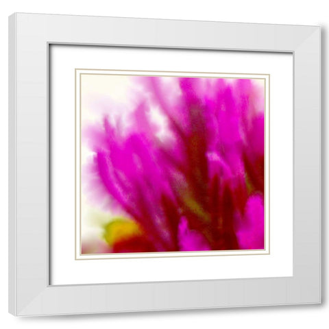 Owl Clover in Bloom 3 White Modern Wood Framed Art Print with Double Matting by Tenoever, William