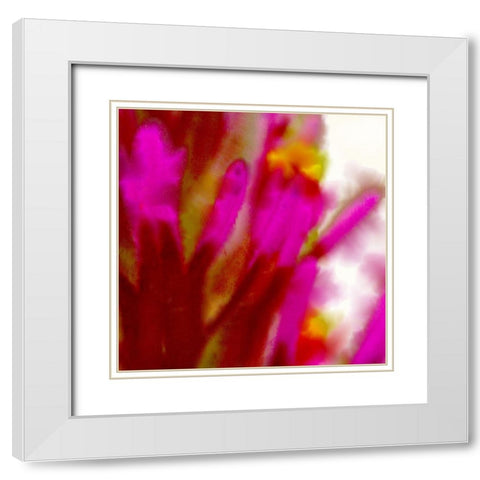 Owl Clover in Bloom 5 White Modern Wood Framed Art Print with Double Matting by Tenoever, William