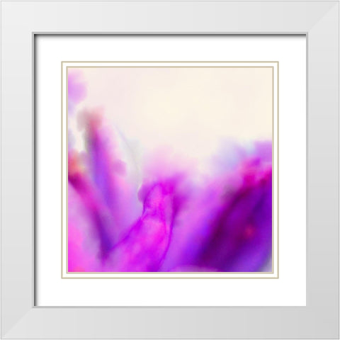 Blue Dicks W/C Bloom 5 White Modern Wood Framed Art Print with Double Matting by Tenoever, William