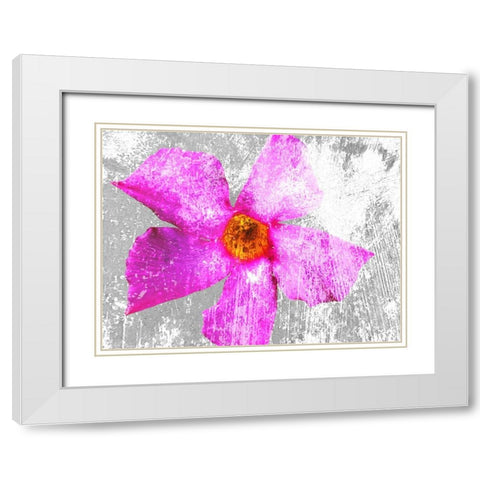 Flora Obscura 2 White Modern Wood Framed Art Print with Double Matting by Tenoever, William