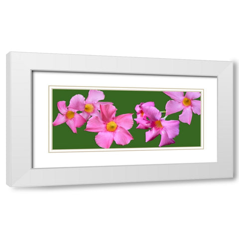 Pink Flowers on Green White Modern Wood Framed Art Print with Double Matting by Tenoever, William