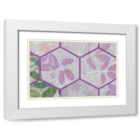 HexiFlora: Imprint 6 White Modern Wood Framed Art Print with Double Matting by Tenoever, William