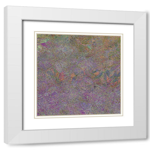 Flora Square 1I White Modern Wood Framed Art Print with Double Matting by Tenoever, William