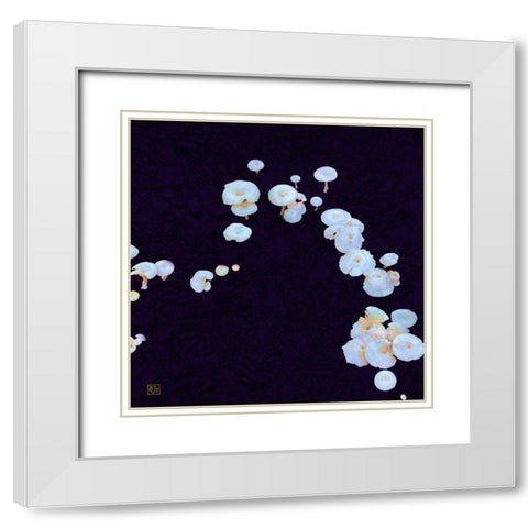 White Mushrooms Ver2 White Modern Wood Framed Art Print with Double Matting by Tenoever, William