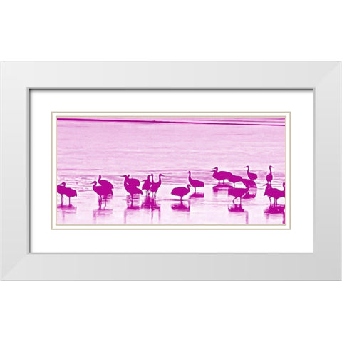 Sand Hill Cranes in Willcox 1a White Modern Wood Framed Art Print with Double Matting by Tenoever, William