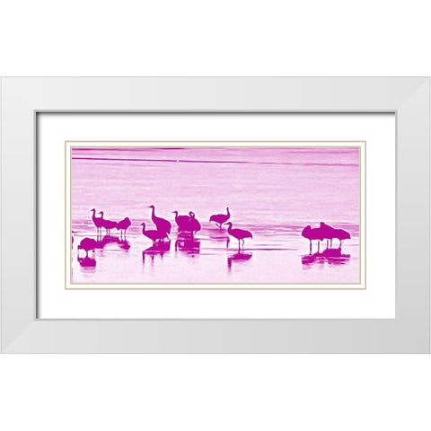 Sand Hill Cranes in Willcox 1b White Modern Wood Framed Art Print with Double Matting by Tenoever, William