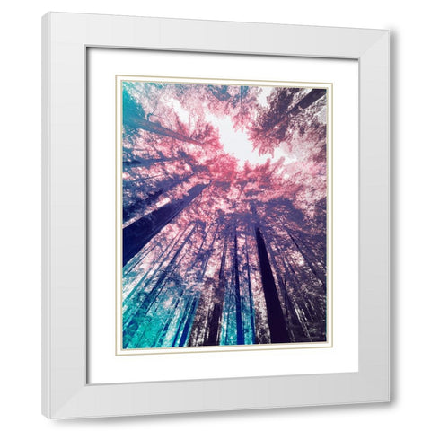 Redwood Trees Tint 1 White Modern Wood Framed Art Print with Double Matting by Tenoever, William
