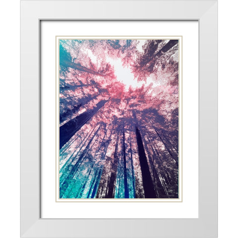 Redwood Trees Tint 1 White Modern Wood Framed Art Print with Double Matting by Tenoever, William