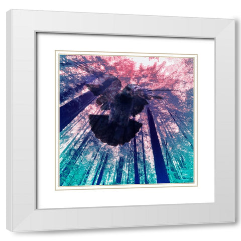 Dove in Flight White Modern Wood Framed Art Print with Double Matting by Tenoever, William