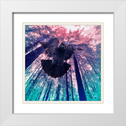 Dove in Flight White Modern Wood Framed Art Print with Double Matting by Tenoever, William