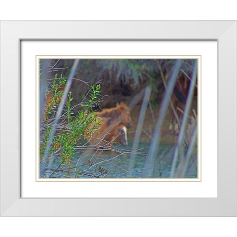 Wild Horses I White Modern Wood Framed Art Print with Double Matting by Popcorn