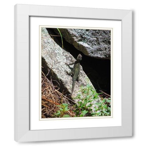 Lizards III White Modern Wood Framed Art Print with Double Matting by Popcorn