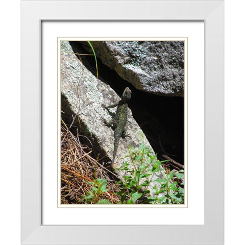 Lizards III White Modern Wood Framed Art Print with Double Matting by Popcorn
