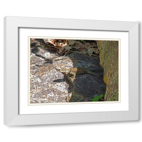 Lizard V White Modern Wood Framed Art Print with Double Matting by Popcorn