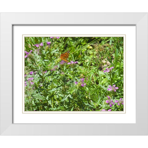 Butterfly I White Modern Wood Framed Art Print with Double Matting by Popcorn