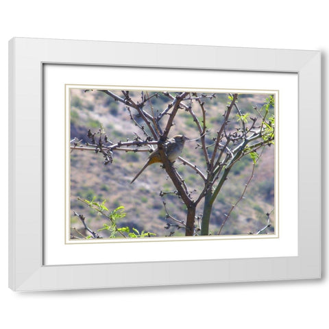 Finch I White Modern Wood Framed Art Print with Double Matting by Popcorn
