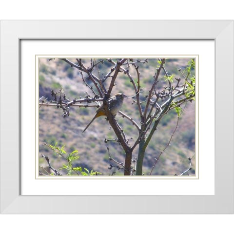 Finch I White Modern Wood Framed Art Print with Double Matting by Popcorn