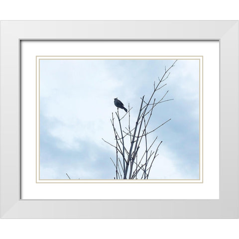 Bird Silhouette: Original White Modern Wood Framed Art Print with Double Matting by Popcorn