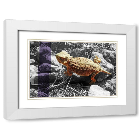 Horned Toad B-W Purple Stripe White Modern Wood Framed Art Print with Double Matting by Popcorn