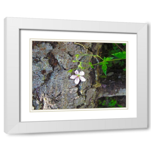 Purple Flower White Modern Wood Framed Art Print with Double Matting by Popcorn