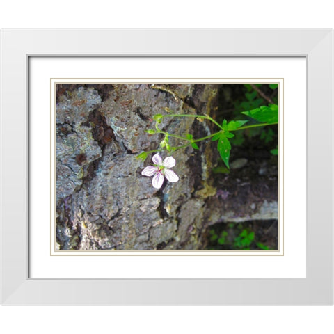 Purple Flower White Modern Wood Framed Art Print with Double Matting by Popcorn