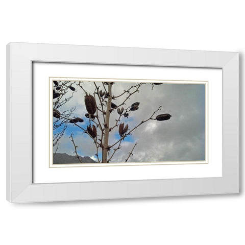 Yucca Pods White Modern Wood Framed Art Print with Double Matting by Popcorn