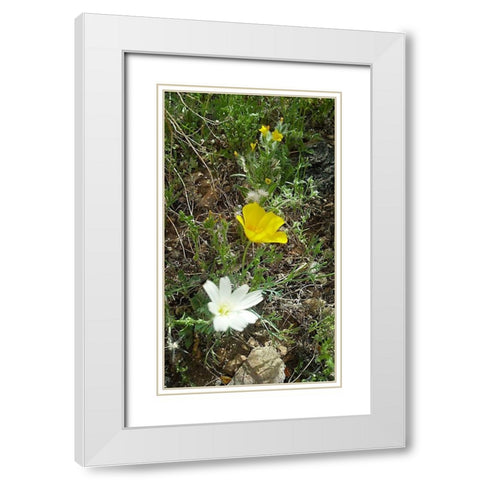 Wildflowers I White Modern Wood Framed Art Print with Double Matting by Popcorn