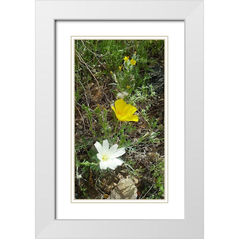 Wildflowers I White Modern Wood Framed Art Print with Double Matting by Popcorn
