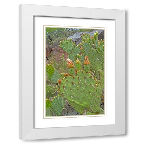 Prickly Pear I: Heart White Modern Wood Framed Art Print with Double Matting by Popcorn