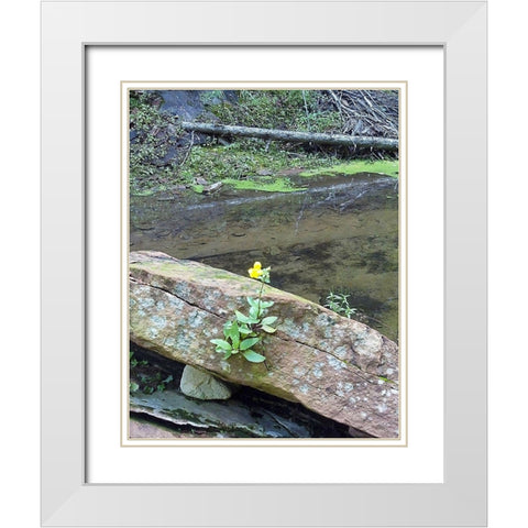 Yellow Flower White Modern Wood Framed Art Print with Double Matting by Popcorn