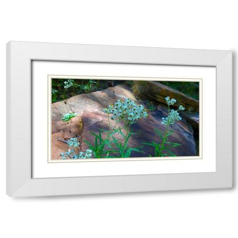 Pearly Everlasting White Modern Wood Framed Art Print with Double Matting by Popcorn