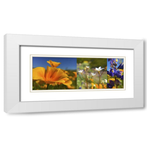 Wildflower Collage White Modern Wood Framed Art Print with Double Matting by Popcorn