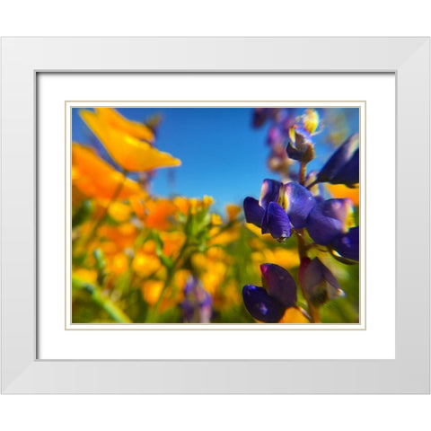 Wildflower III White Modern Wood Framed Art Print with Double Matting by Popcorn