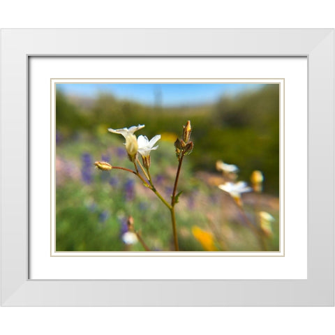 Wildflower V White Modern Wood Framed Art Print with Double Matting by Popcorn