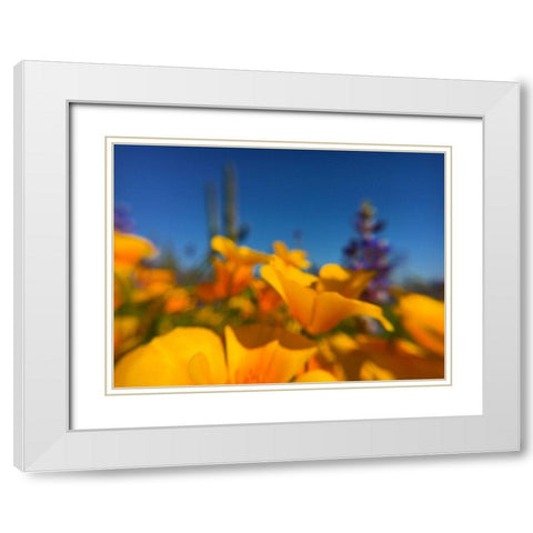 Wildflower VIII White Modern Wood Framed Art Print with Double Matting by Popcorn