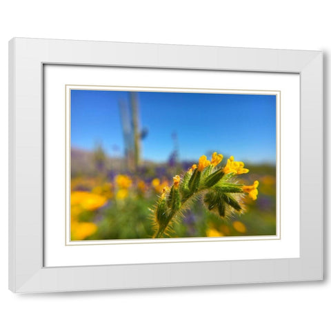Wildflower VIII White Modern Wood Framed Art Print with Double Matting by Popcorn