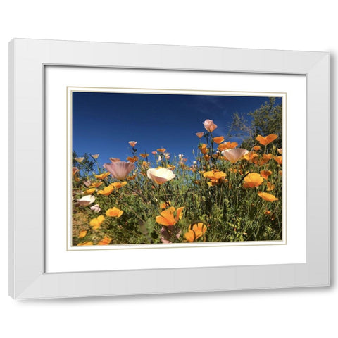 Wildflower X White Modern Wood Framed Art Print with Double Matting by Popcorn
