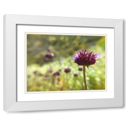 Sage I White Modern Wood Framed Art Print with Double Matting by Popcorn