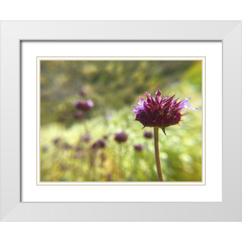 Sage I White Modern Wood Framed Art Print with Double Matting by Popcorn