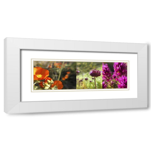 Wildflowers Collage II White Modern Wood Framed Art Print with Double Matting by Popcorn