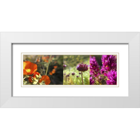 Wildflowers Collage II White Modern Wood Framed Art Print with Double Matting by Popcorn
