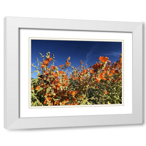 Wildflowers XV White Modern Wood Framed Art Print with Double Matting by Popcorn