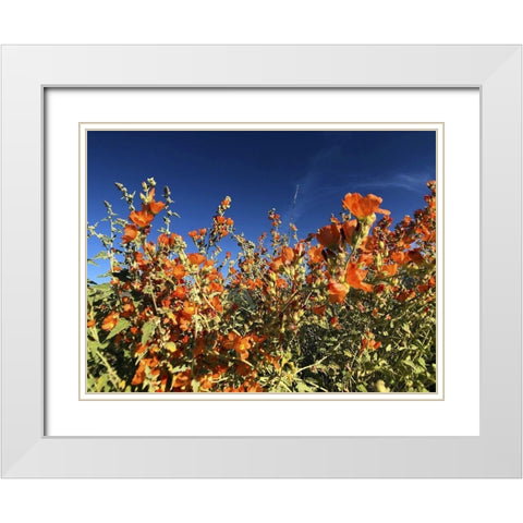 Wildflowers XV White Modern Wood Framed Art Print with Double Matting by Popcorn