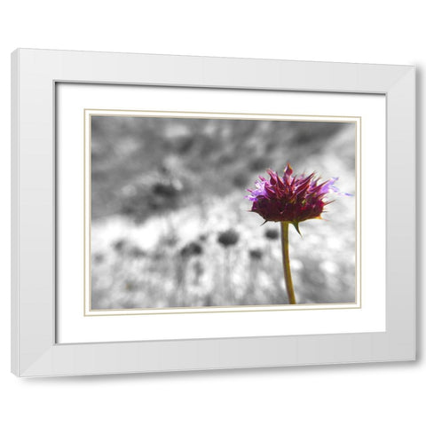 Sage I: BandW White Modern Wood Framed Art Print with Double Matting by Popcorn