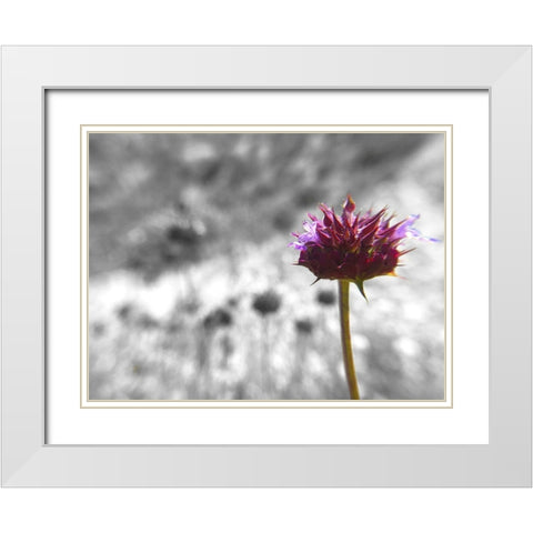 Sage I: BandW White Modern Wood Framed Art Print with Double Matting by Popcorn