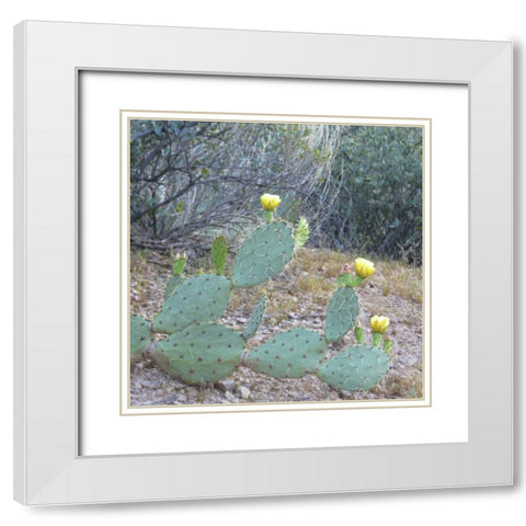 Wildflowers XX White Modern Wood Framed Art Print with Double Matting by Popcorn